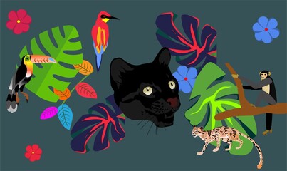 Wildlife elements collage vector, panther's head, trpical plants, birds, insects