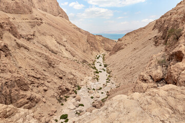 Dry  river bed passing through the stone desert near the Khatsatson stream, on the Israeli side of...