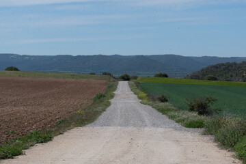 carretera de campo