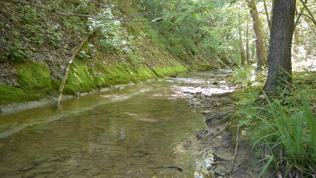 Curone stream (Regional Park of Montevecchia and Curone valley - Italy)