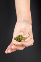Naklejka na ściany i meble A female hand holds a bud of marijuana, cannabis on a black background. Medical marijuana.