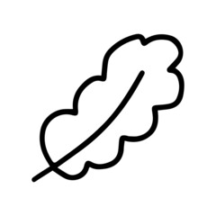 Hand drawn doodle feather illustration. Vector doodle feather clipart