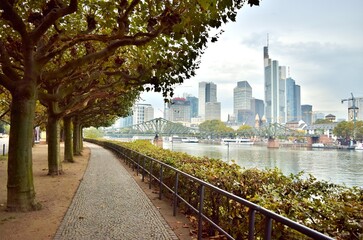 Frankfurt in the Autumn (Evening) - Frankfurt, Germany