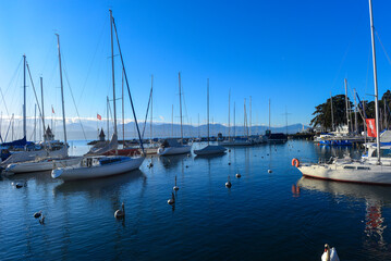 Fototapeta premium Yachthafen der Stadt Morges im Kanton Waadt, Schweiz