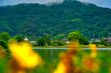 Obraz premium 平池緑地公園から見る山の風景