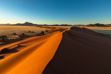 Red sand dune in early morning light