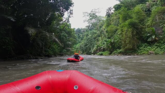 Tourists kayaking through stream amidst dense green forests. Low angle view.