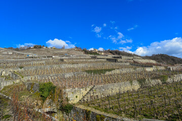 Das Lavaux, Weinbaugebiet im Kanton Waadt in der Schweiz