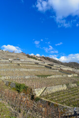 Fototapeta na wymiar Das Lavaux, Weinbaugebiet im Kanton Waadt in der Schweiz