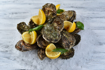 oyster dish on ice with lemon
