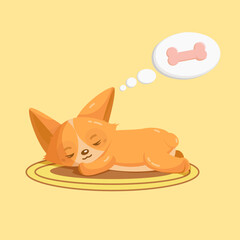 A corgi sleeps on a rug and dreams about a bone or something tasty, yellow background