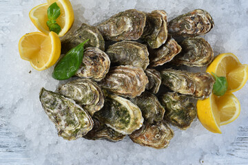 oyster dish on ice with lemon