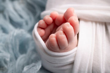 The tiny foot of a newborn. Soft feet of a newborn in a white blanket and on a blue background. Close up of toes, heels and feet of a newborn baby. Studio Macro photography. Woman's happiness