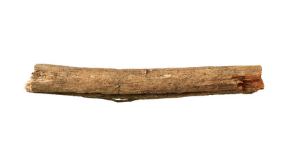 Tree stick isolated on white background