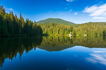outdoor scene with calm lake in summer season. green forest reflection in the water. serene travel background of synevyr, ukraine. tranquil nature landscape