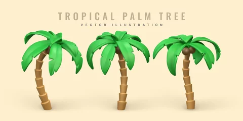 Poster 3D Cute cartoon tropical palm tree. Realistic jungle tree on white background. Summertime object. Vector illustration © Oleh