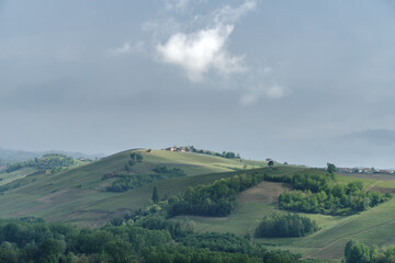 Spring landscape of vines and hills in Langhe, Italy