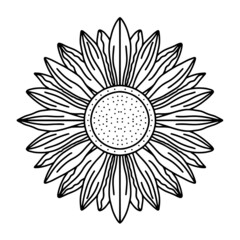 Digital illustration of sunflower