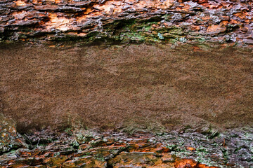 Idea of a natural natural background, a variety of nature for interior decoration or wallpaper.