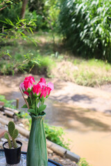 Beautiful Rose in vase on table.