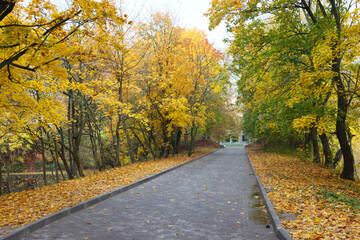 Fototapeta na wymiar City park in autumn.