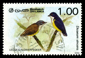 Postage stamp. Bird  Flower beetles