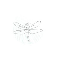 dragonfly on white background