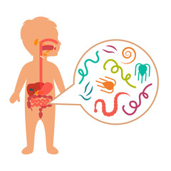 Vector Illustration of a kid Intestinal Parasites, worm disease