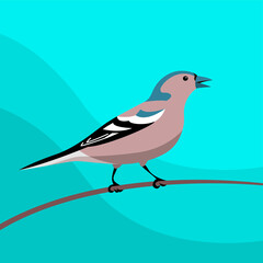 Finch forest songbird. Sitting on a tree branch. Beautiful small wild bird. Finch pet. Animals and fauna of wild nature. Zoology and ornithology. Vector flat illustration on a blue background