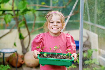 Little happy preschool girl planting seedlings of sunflowers in domestic garden. Toddler child...