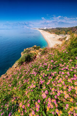 Naklejka premium Flowers blooming with famous Konyaalti beach in the background. Travel destinations of Turkey and Antalya and mediterranean riviera at springtime season