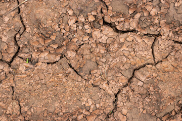 Soil on the ground as texture and background.