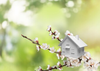 white toy house and cherry flowers, spring natural background. concept of mortgage, construction, rental, family and property. eco-home.
