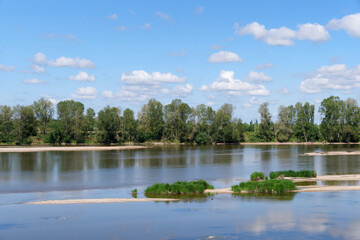 Fototapeta na wymiar Loire river bank in the Centre-Val-De-Loire region