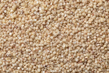 Raw organic Sorghum grain close up full frame as background