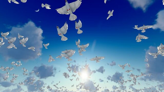 Release Doves Of Peace.