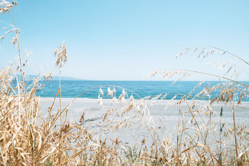 Empty summer beach with dried grass in foreground. Beauty in Sicily as a tourist attraction. Season turistic on mediterranean sea. Ionian sea.