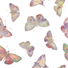 Set of bright butterflies collected in a seamless pattern isolated on a white background.