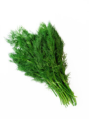 bunch of fresh green dill on white background