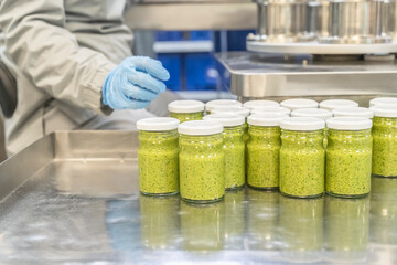 Pesto sauce with basil Industrial process. Many jars of sauce prepared for labeling. Worker at a food factory selects jars of pesto sauce by quality, sorts, separates closed lids