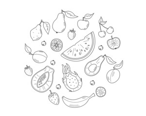 Set of vector sketches of fruits and berries. Circle shape. Decorative vector line collection, farm product for restaurant menu, market label. Avocado, blueberry, pineapple, watermelon, etc.