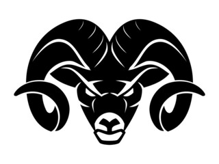 Black Ram Head, Tough Horned Animal