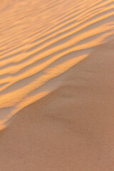 Desert Sand Detail background
