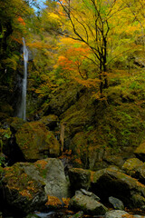 紅葉で染まる滝