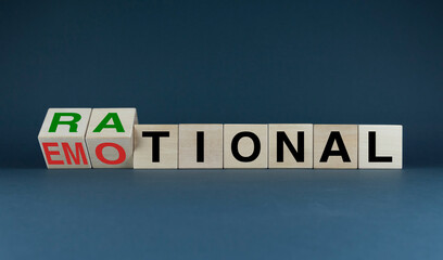 Rational or Emotional. Cubes form the choice words Rational or Emotional.
