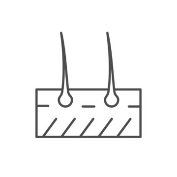 hair follicles skin outline icon clip art preview