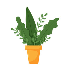 A plant with leaves. House Potted Plant. Cartoon flat vector illustration isolated on white background.