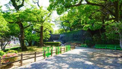 熊本城のお堀 お城まつり 春