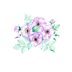 Handdrawn anemone composition. Watercolor wind flower on the white background. Scrapbook design elements. Typography poster, card, label, banner.