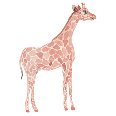 Cute watercolor illustration of a giraffe, isolated children's illustration, children's design.